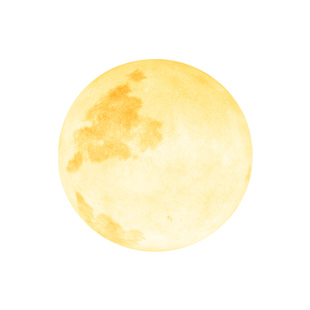 庭院造景布置花园装饰摆件氛围灯室外灯防水别墅装修设计景观灯