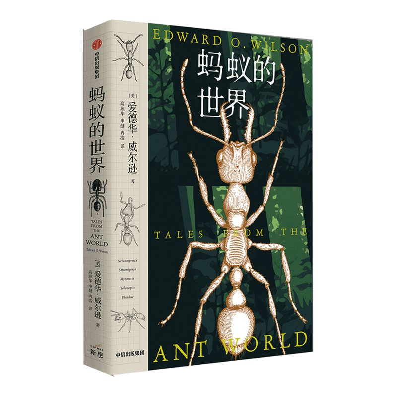蚂蚁的世界 爱德华威尔逊著  赠炫酷印银蚂蚁卡片 包邮 冉浩 刘华杰 苗德岁 水哥王昱珩力荐 蚂蚁探险之旅 中信正版
