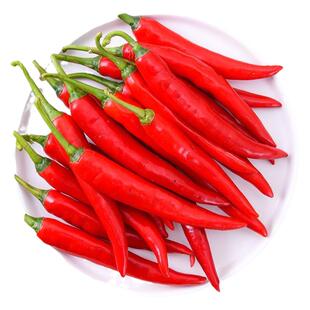 正宗摘不败美人椒苗子大树红尖椒红辣椒秧苗特香辣四季盆栽菜苗子