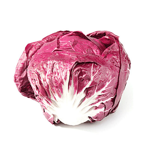 老一特卖 新鲜红菊苣落地球生菜红球红叶包菜 沙拉蔬菜 500g