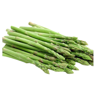 玉条芦笋种子种籽苗根高产四季种植高产菜苗孑多年生蔬菜菜种卢笋