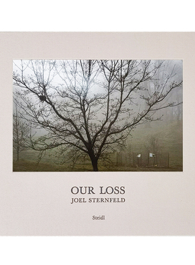 纪实摄影艺术画册大开本装饰真书样板房会所售楼处软装陈设书籍