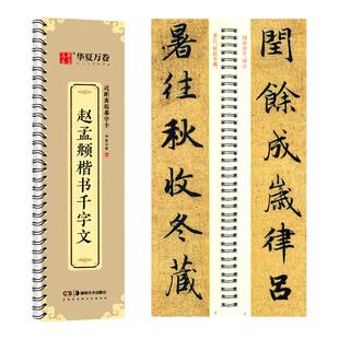 华夏万卷 赵孟頫楷书千字文近距离临摹字卡 成人毛笔爱好者书法字帖赵孟俯楷书千字文毛笔书法字卡 赵体楷书书法字帖行书洛神赋