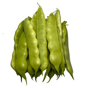 正宗东北油豆角新鲜蔬菜现摘宽油豆黑龙江小油豆紫花油豆5斤包邮