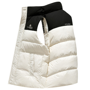 雪中飞羽绒马甲男冬季内外穿加厚保暖鸭绒背心立领中青年无袖坎肩