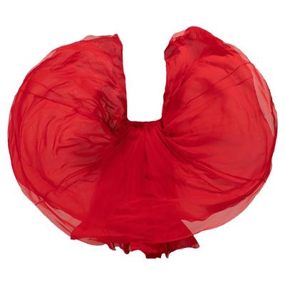 古典舞蹈半身大摆练功纱裙演出服