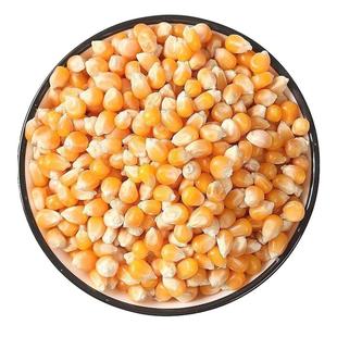爆米花专用球形玉米粒电影院家用自做爆裂小玉米粒原料2斤