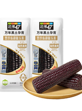 北纬47黑糯鲜食新玉米富含花青素