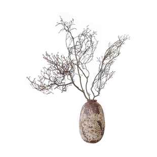 小众高山杜鹃干枝天然植物花卉水培植物花卉可开花干养造型摆件