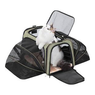 宠适PETSFIT猫咪外出大空间航空宠物软包猫包便携收纳手提透气