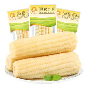 精品白甜糯玉米新鲜真空包装东北黏玉米棒整箱苞谷低脂0添加速食