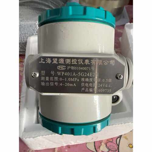 【请询价】上海望源测控仪表型号WP401A5G24E2N两只