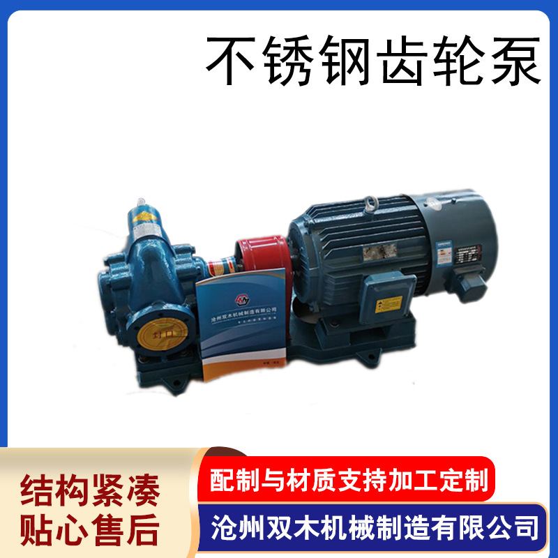 KCB-200不锈钢齿轮泵304/316耐腐蚀自吸泵蠕动泵抽胶水蜂蜜厂家
