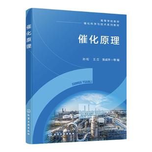 催化原理 孙松 催化作用的化学基础 固体酸碱催化剂及催化作用 金属催化剂及催化作用 高等院校化学工程与工艺等相关专业应用教材