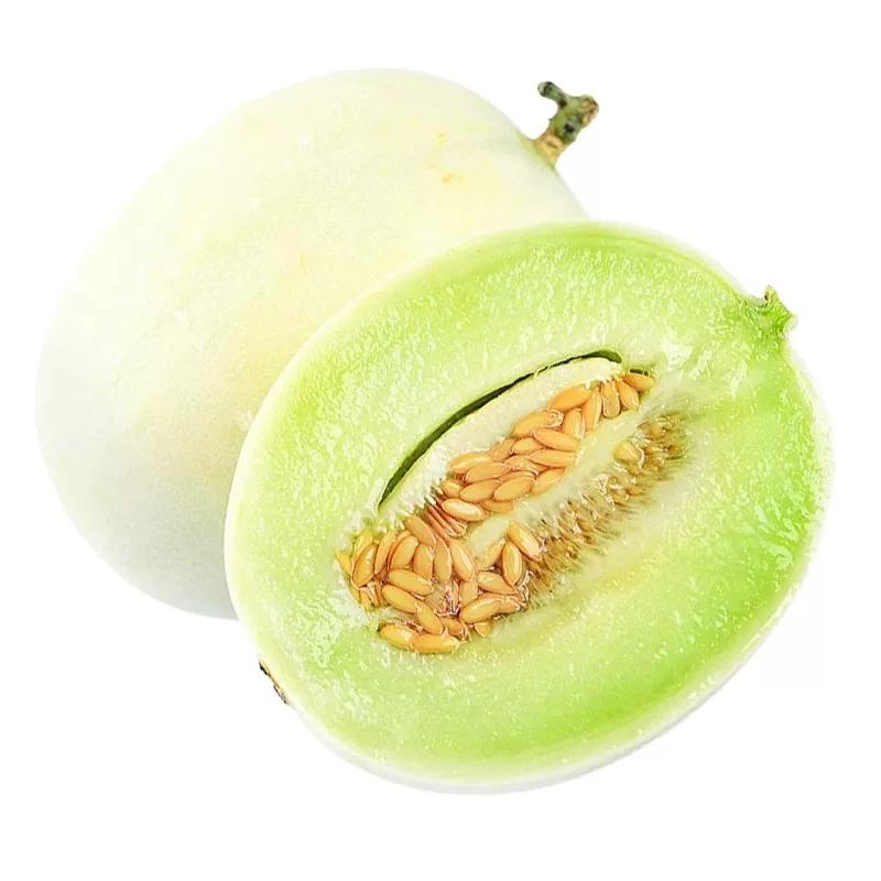 正宗玉菇甜瓜新鲜水果整箱包邮应当季蜜瓜香瓜冰淇淋脆甜斤白瓜10