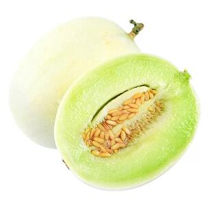 正宗玉菇甜瓜新鲜水果整箱包邮应当季蜜瓜香瓜冰淇淋脆甜斤白瓜10