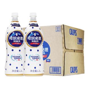 日本CALPIS可尔必思浓缩液乳酸菌饮料1.2L*9瓶奶茶料理店商用饮品