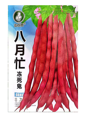 八月忙冻死鬼长豆角种籽