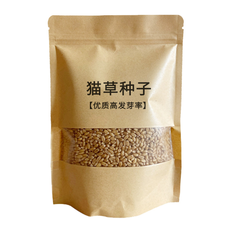 猫草种子化毛球水培土培种植盆栽种籽化毛草小麦粒育苗盘猫咪零食