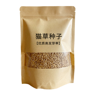 猫草种子化毛球水培土培种植盆栽种籽化毛草小麦粒育苗盘猫咪零食