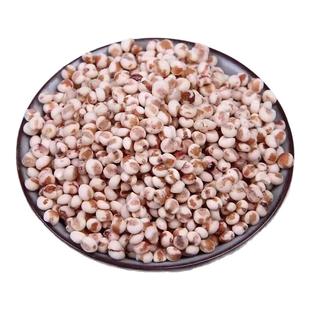 东北粘红高粱米农家自种去皮黏糯高粱米新米甜糯包粽子年糕汤圆