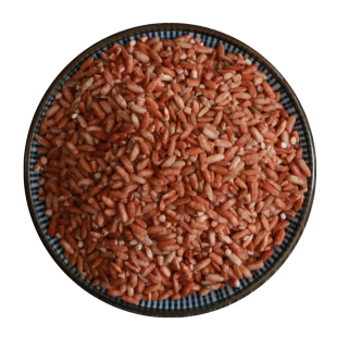 阿本丽 老种红糯米 农家云南红米黑紫糯米墨江血糯米 500g