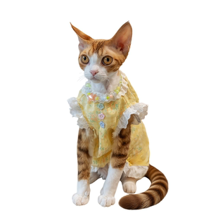 GINGERAIN 花边娃娃衫无毛猫德文猫衣服夏季宽松透气纯棉背心