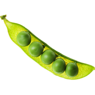 豌豆荷兰豆种籽种子豌豆苗豆角大荚菜豌豆种子菜豌豆子种籽孑大夹
