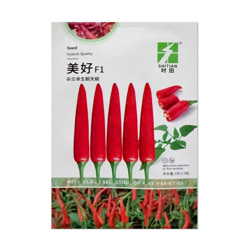 时田美好单生朝天椒种子