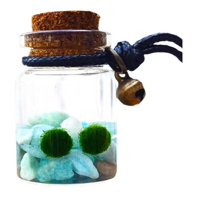 萌系物语项链随身瓶易养小球藻