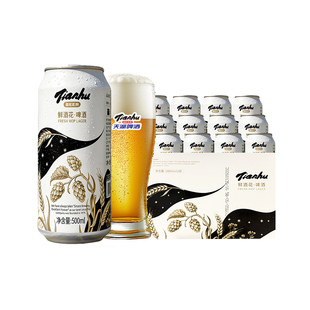 天湖啤酒鲜酒花11度黄啤500ml*12罐整箱艾尔啤酒畅饮抚顺特产