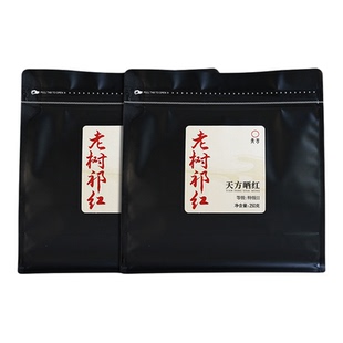 天方茶叶明前祁门红茶特II级老树晒红茶原产地花蜜香袋装250g*2袋