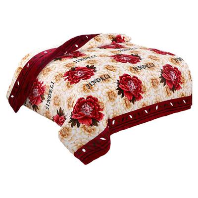 冬天珊瑚被套加厚法兰牛奶双面