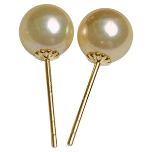 《金秋》6-7mm奶油浅金色akoya耳钉羽黄金日本海珠正圆纯银气质