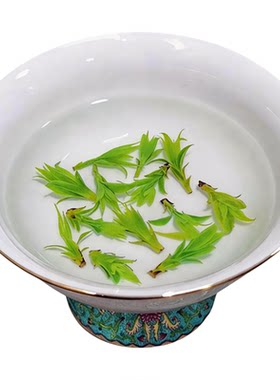 嫩芽特级小叶苦丁茶四川青山绿水