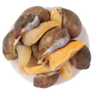 老婆脚新鲜冷冻鲍鱼螺超大号带黄珍珠鲍假鲍鱼海螺黄金鲍海鲜水产