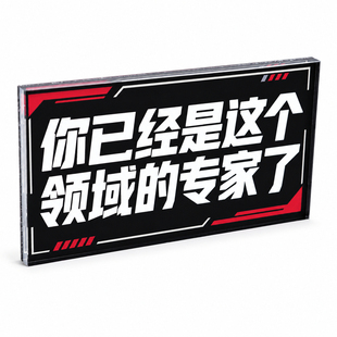 你已经是这个领域的专家了磁吸冰箱贴亚克力礼品原创名言桌面摆件