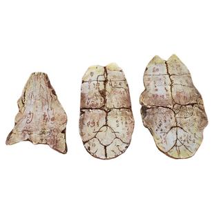 中医文化殷墟甲骨文模型博物馆文物仿真复原中医馆边柜装饰摆件