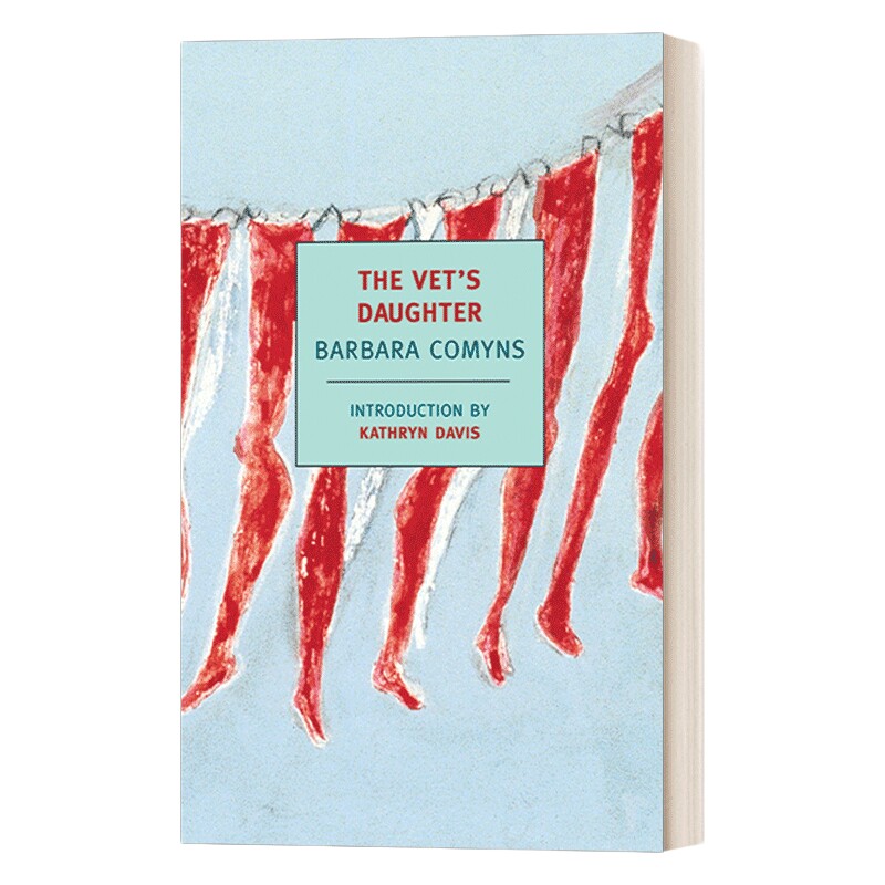 英文原版小说TheVet'sDaughte