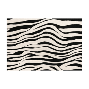 免洗防水客厅地毯新款轻奢高级可擦复古沙发地垫黑白卧室法式丙纶