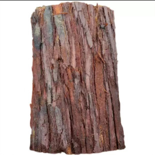 石斛种植板杉木树皮板替代蛇木板天然杉树皮墙植定植蝴蝶兰挂植板