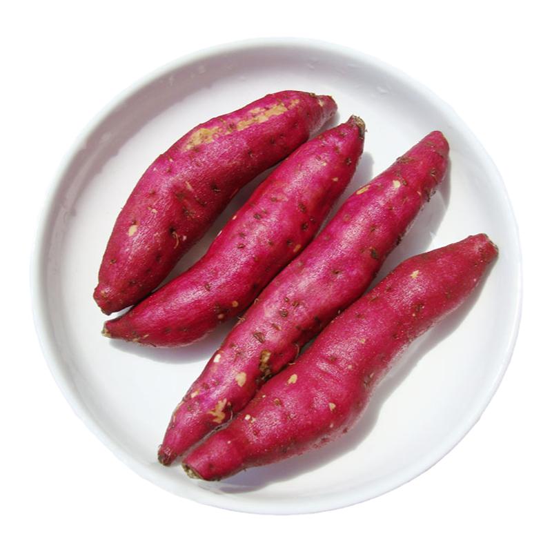 临安天目小香薯香糯软甜皮薄无筋