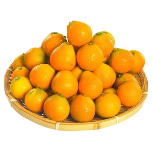年货送礼优选！融安脆蜜金桔标王级果王无籽脆甜爆汁农家果园直发