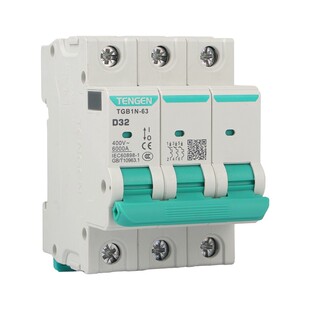 天正D型空气开关TGB1N-63D型1P2P3P4P空气开关电动机动力型断路器