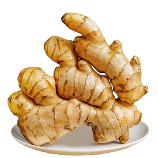 正宗云南小黄姜自种生姜鲜姜月子姜现挖嫩姜整箱批发大块小黄姜