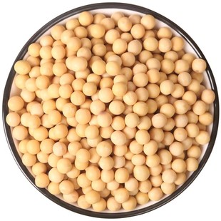 新货黄豆新鲜大豆非转基因黄豆大豆子豆浆原料五谷营养早餐