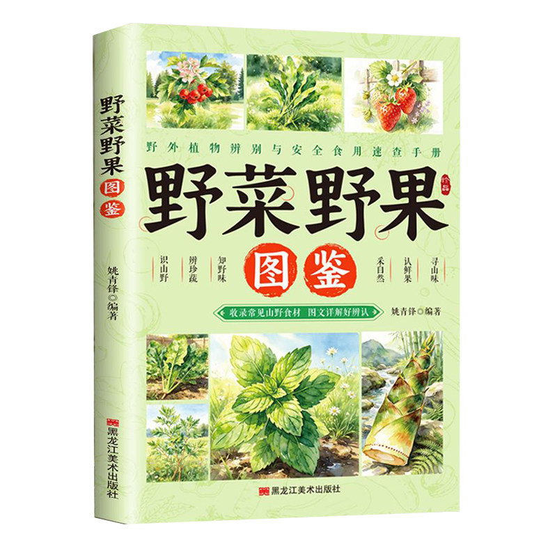 野菜野果图鉴 识别与药用指南户外采摘野菜野果的种类和功效书籍 中国常见植物野外识别原野漫步植物图谱野外识别速查手册野生植物