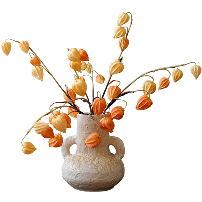 ladylike浆果灯笼果手感