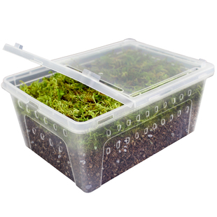 乌龟冬眠专用椰土冬眠用品过冬装备苔藓沙土保温恒温箱乌龟冬眠箱