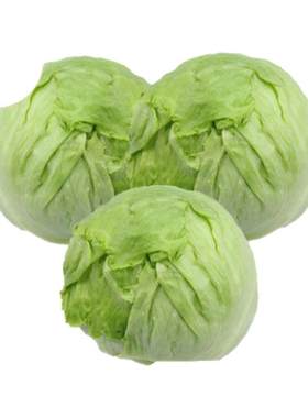 球生菜20斤包邮20斤包邮